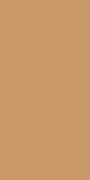 Màu 10228 — Grayish
