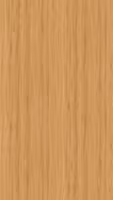 Màu 21388 — Santana Oak