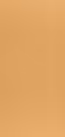 Màu 21620 — Vertical Oak