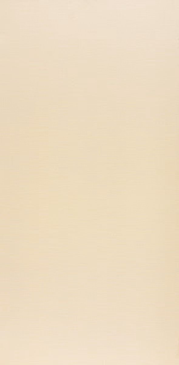 Màu 50446 — Jean