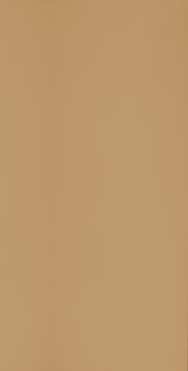 Màu 50997 — Linen