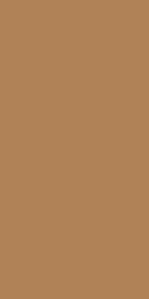 Màu 10217 — Tortilla Brown