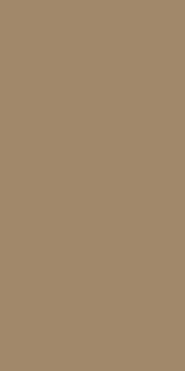 Màu 10221 — Mouse Gray