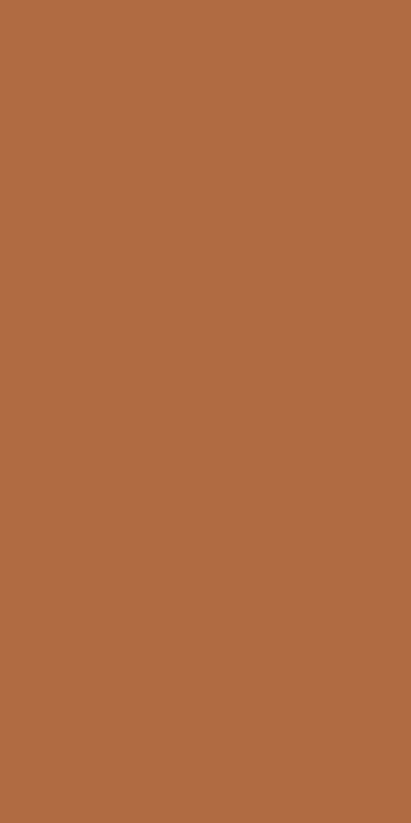 Màu 10238 — Terracotta