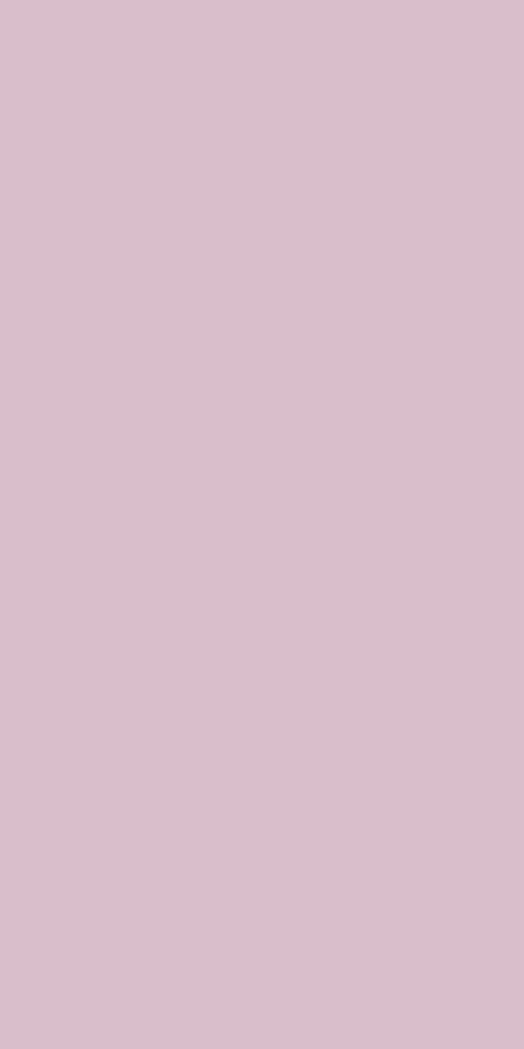 Mã 10242, Lilac